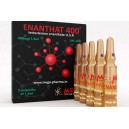 Enanthat 400 ( testosterone enanthate )