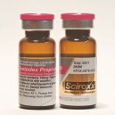 Testodex Propionate ( testosterone propionate )